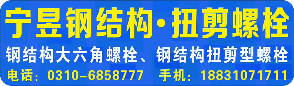 宁昱钢结构  扭剪螺栓