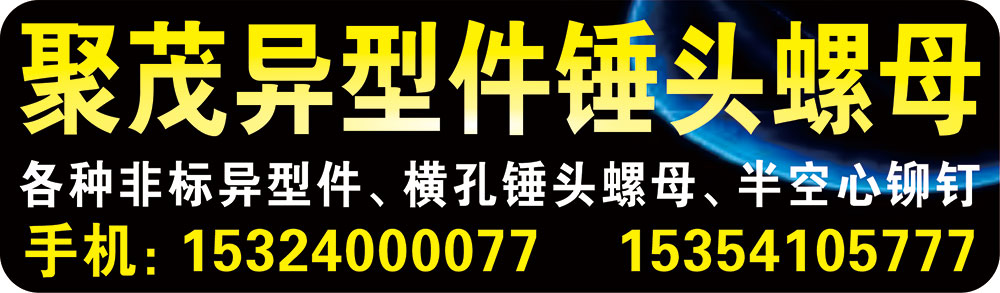 聚茂异型件锤头螺母