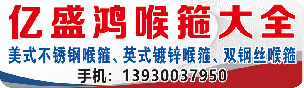亿盛鸿喉箍大全
