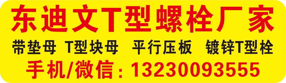 东迪文 T 型螺栓厂家